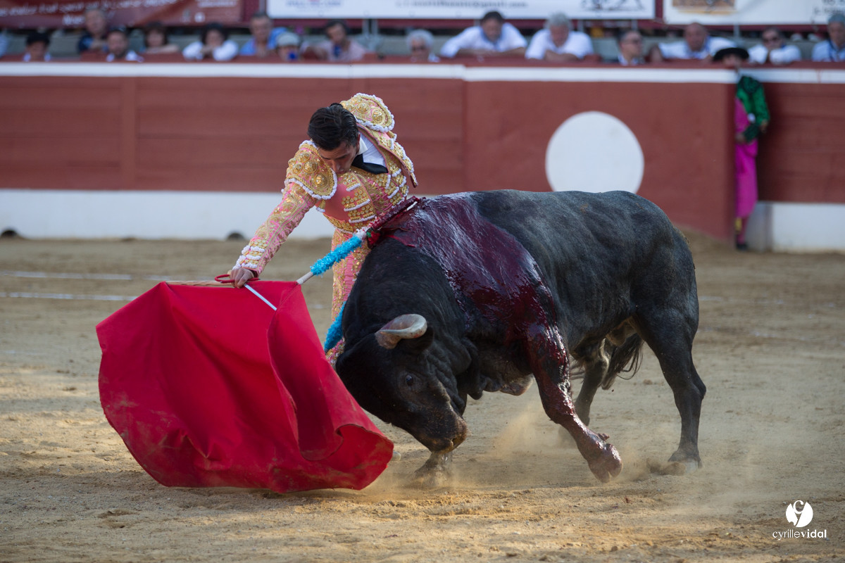 Mont-de-Marsan corrida d'Adolfo Martin