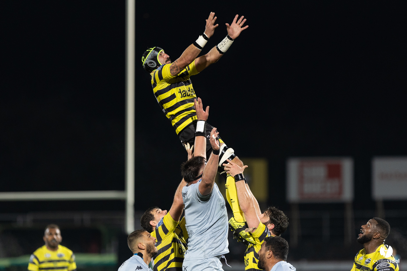 Stade Montois Rugby - Provence