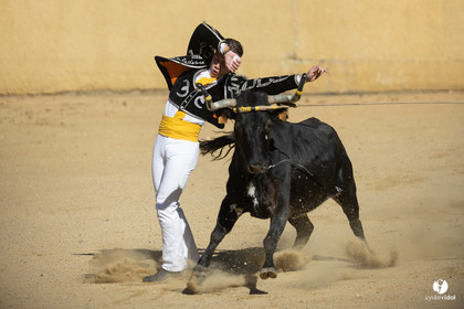 Course landaise