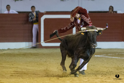 Aire sur l'Adour course landaise génération Aturine