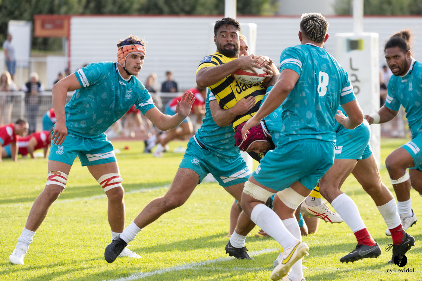 Dax - Stade Montois Rugby