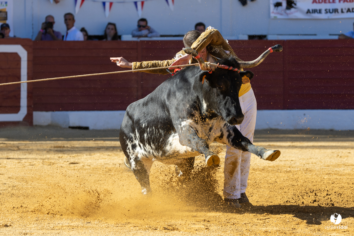 Aire-sur-l'Adour Championnat de France de course landaise 2023