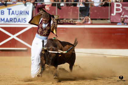 Mont-de-Marsan championnat de France de course landaise 2019