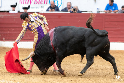 Corrida d'Aire sur l'Adour