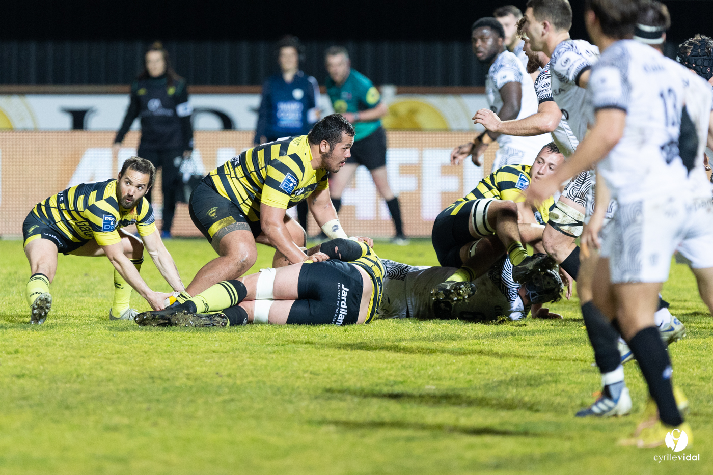 Stade Montois Rugby - Vannes