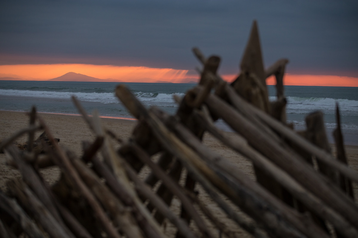 Paysages des Landes