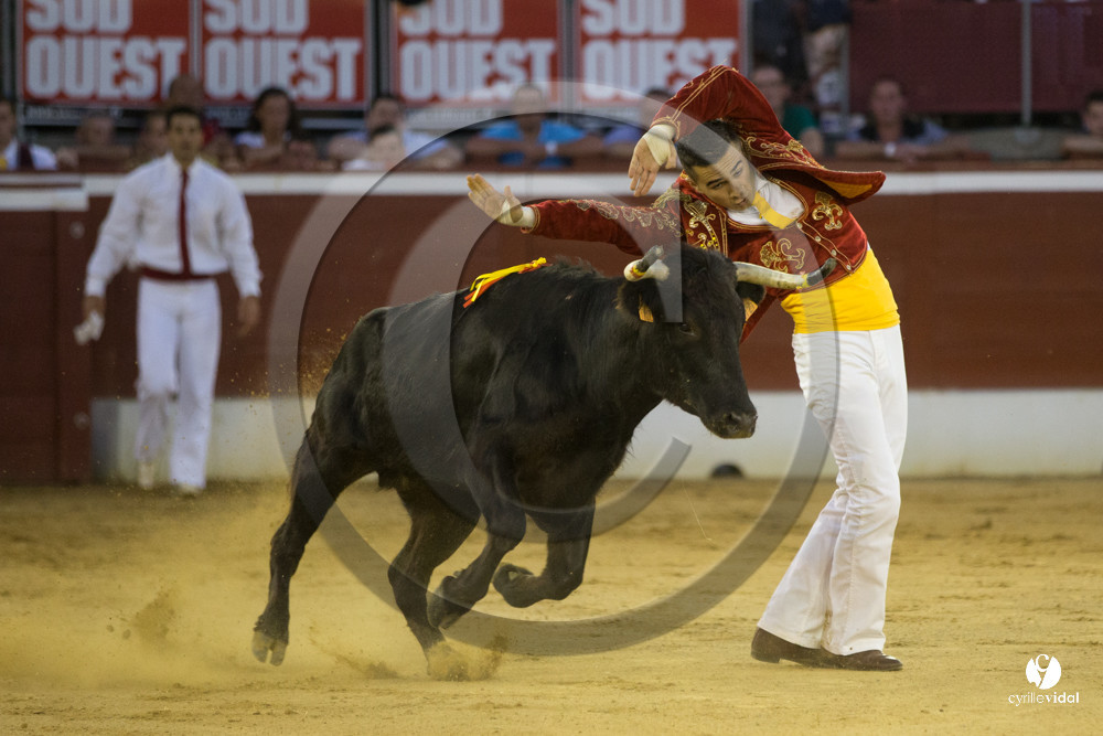 course landaise