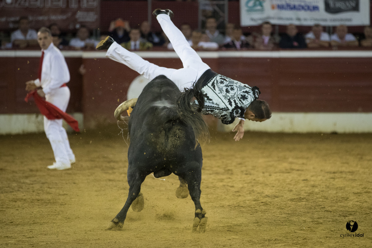 Mont-de-Marsan festival Art et Courage