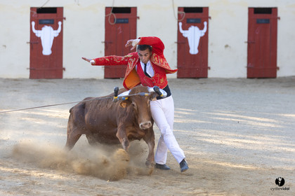 Course landaise