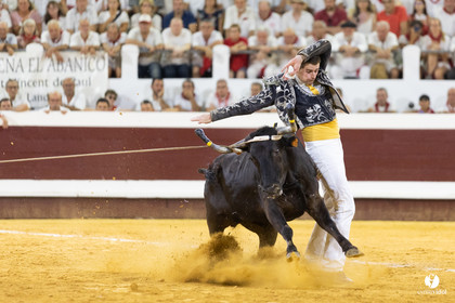 Dax concours landais 2022